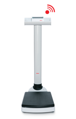 Image of seca 704 EMR-validated column scale with 300 kg capacity