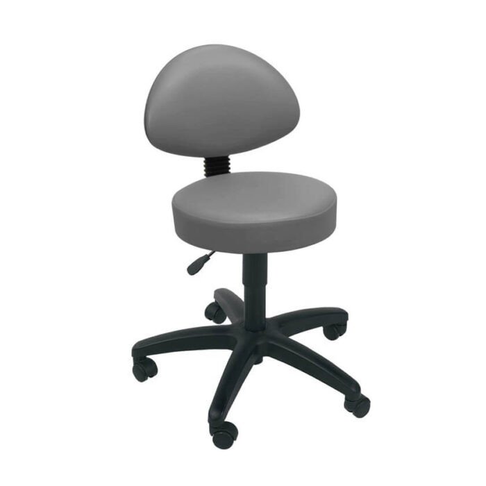 Image of Gas Lift Stool with Back Rest