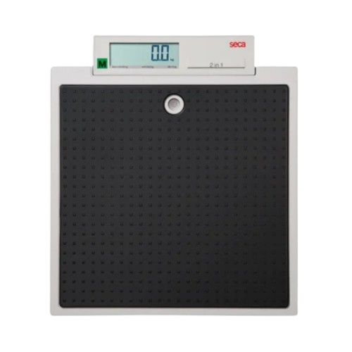 Image of Flat Scales